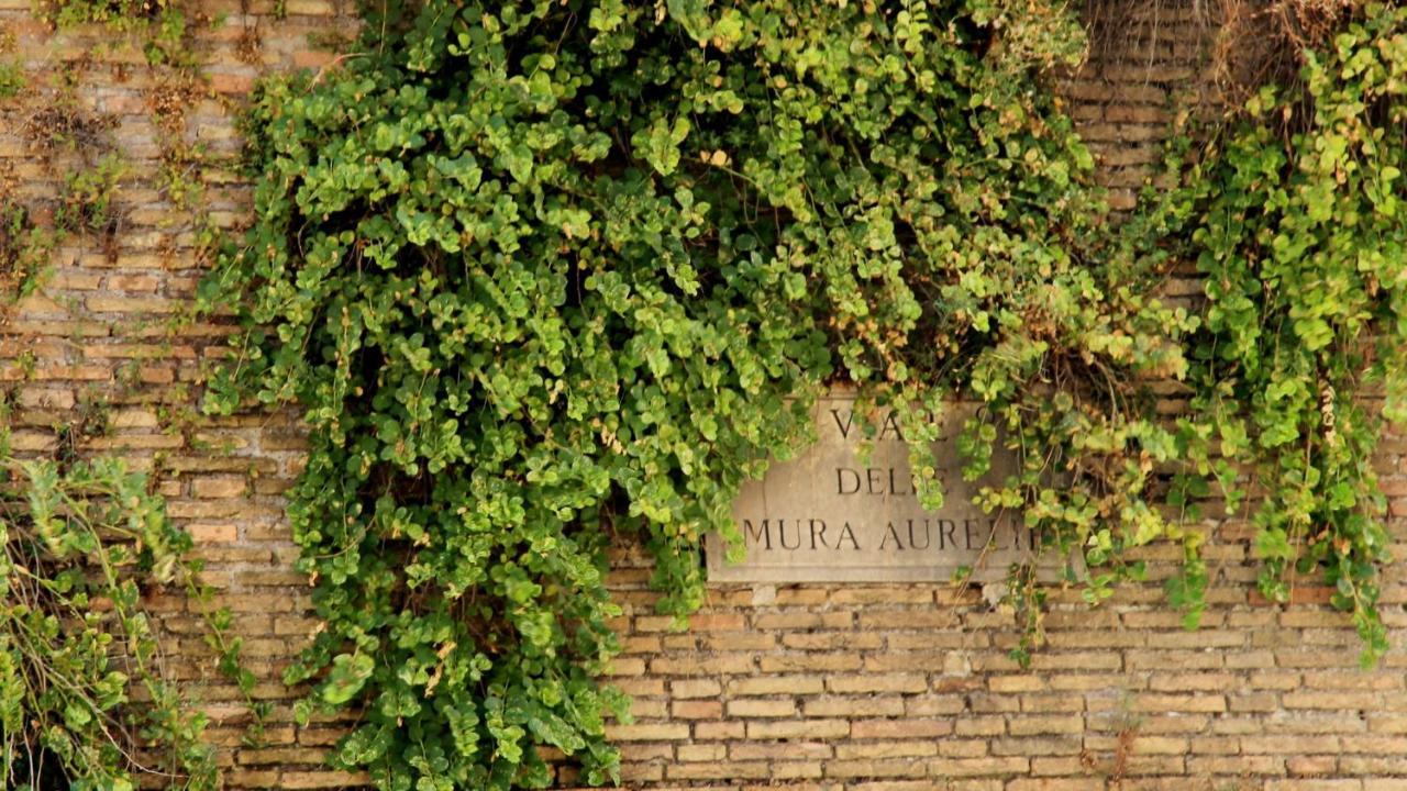 Vista San Pietro Apartamento Roma Exterior foto